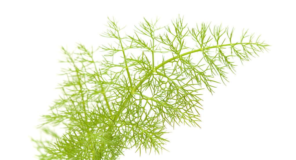 最新胃痛研究揭秘，背景、进展及其影响