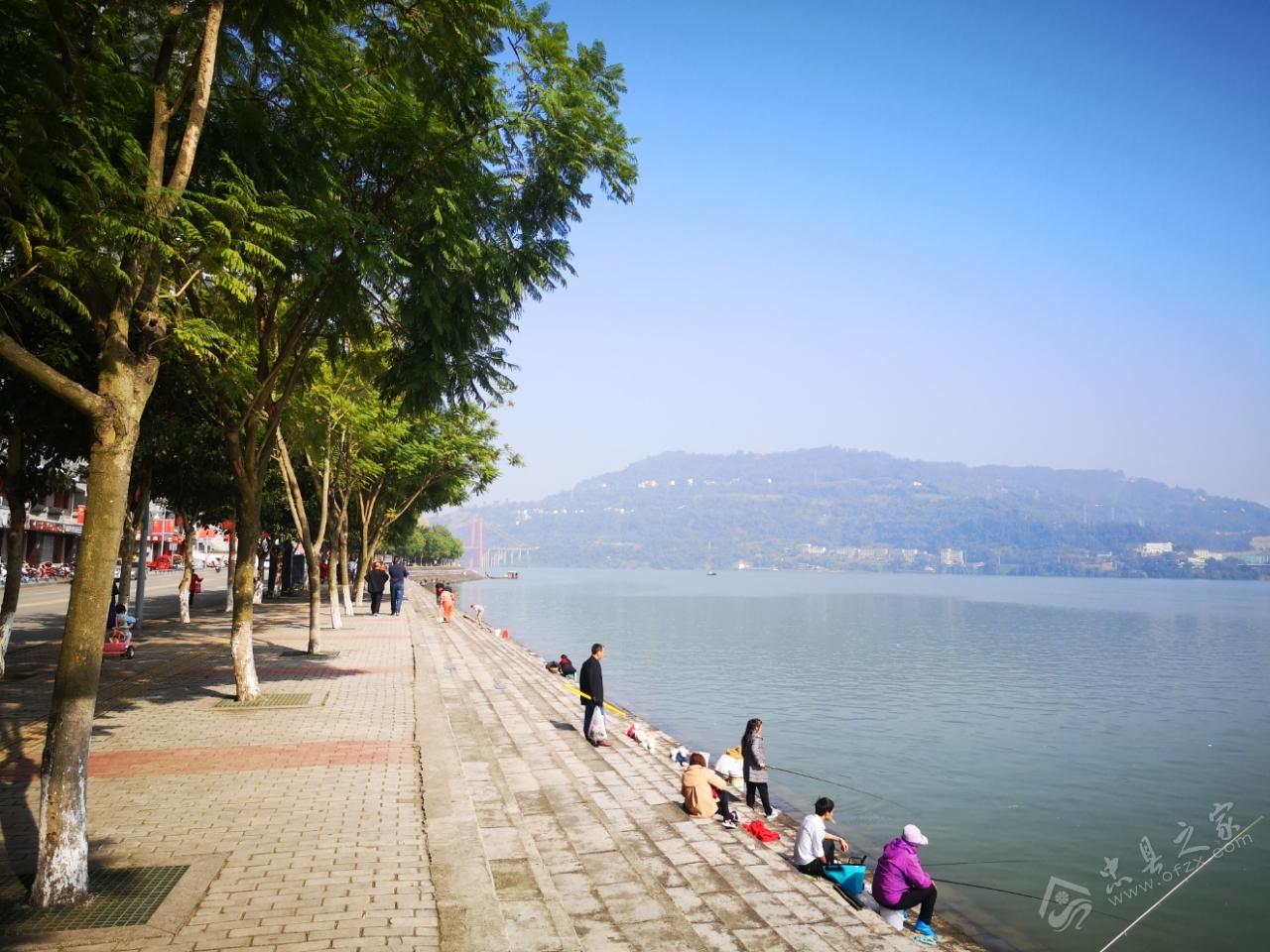 忠县之家最新版下载，探索自然美景，寻找内心平和之旅