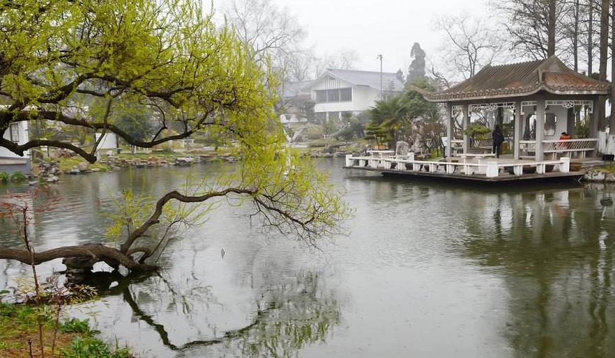 世界食品饮料最新动态，味蕾之旅探索自然美景